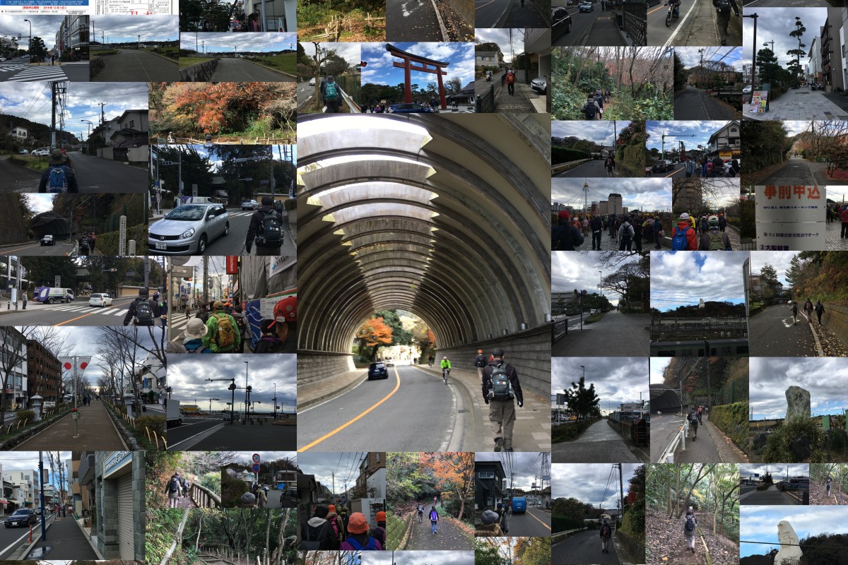 第54回鎌倉歴史探訪ウオーク　🔶◇🔶③大船